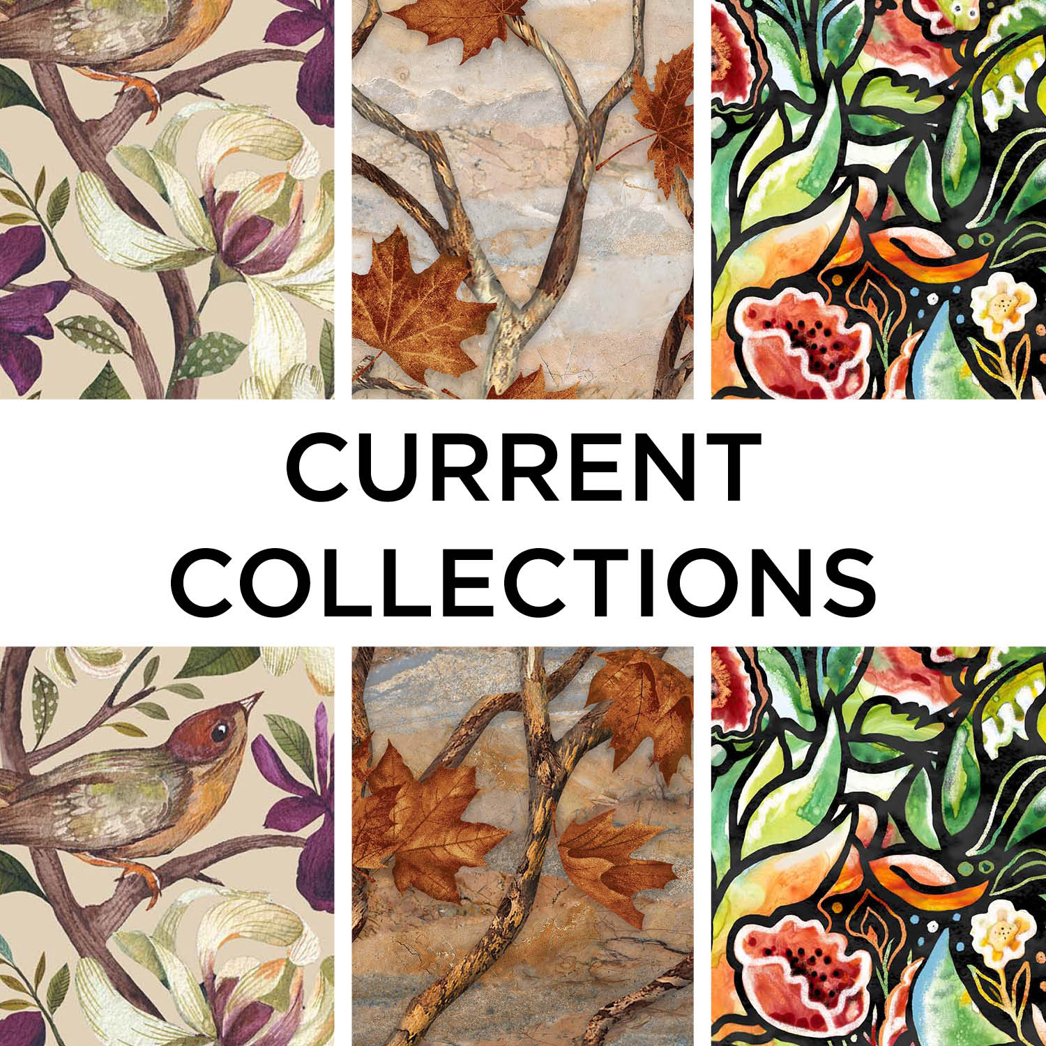 Current Collections